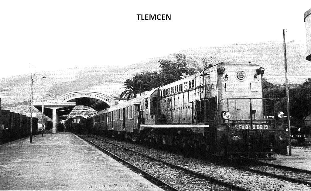 Tlemcen 006.JPG